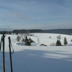 Langlauf im Loipenzentrum Titisee-Neustadt